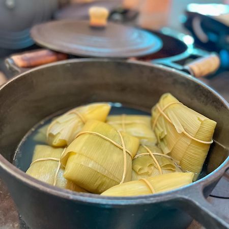 Chales Elliotti モンテ・ヴェルデ エクステリア 写真